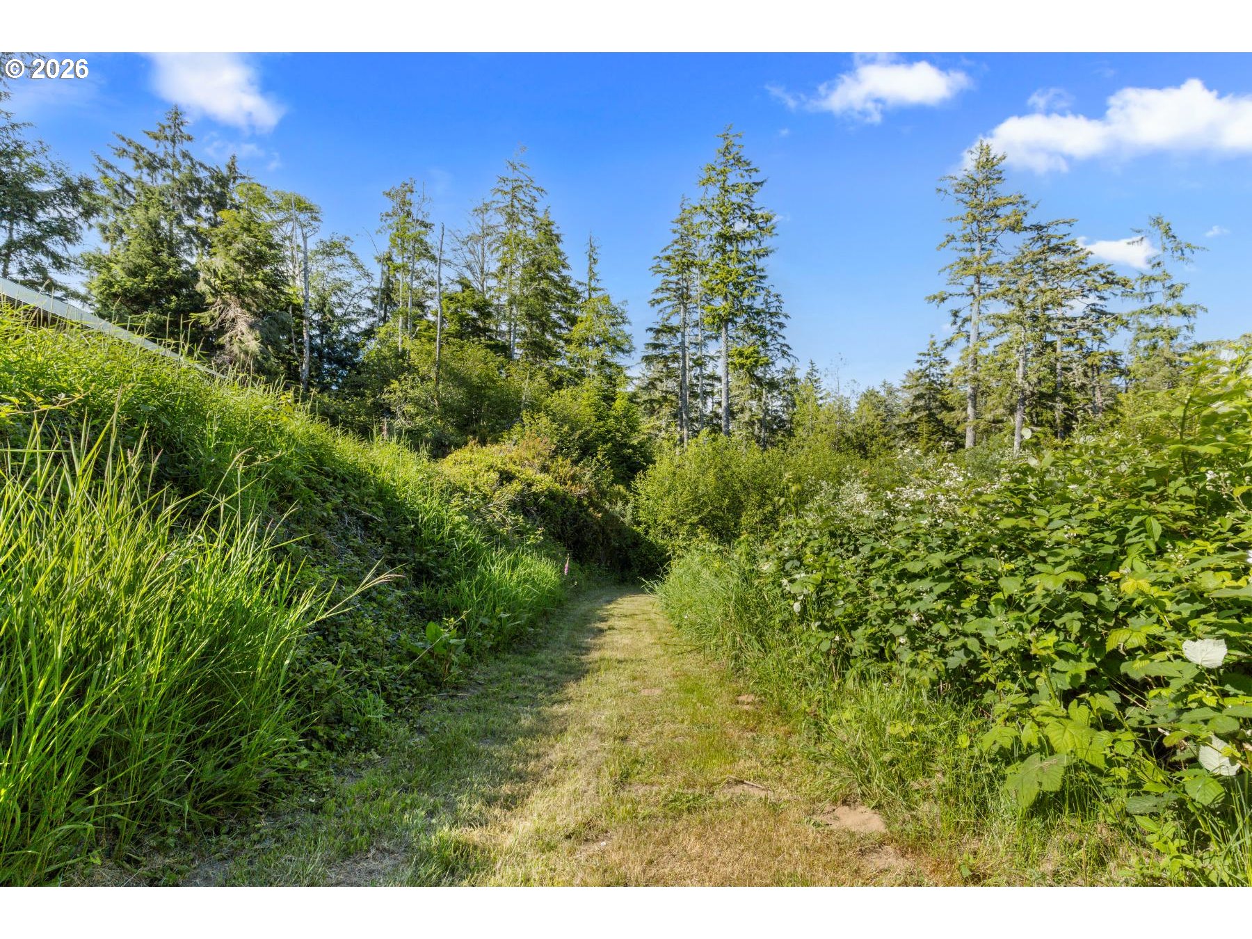 22312 Sandridge Road Ocean Park, WA 98640 - Photo 36 of 48 Acreage