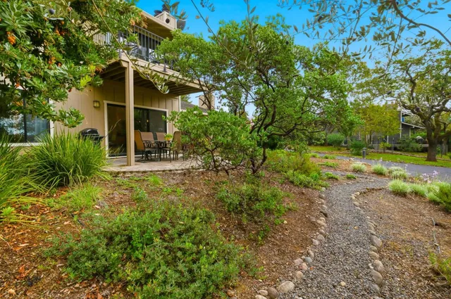 a view of a house with a tree