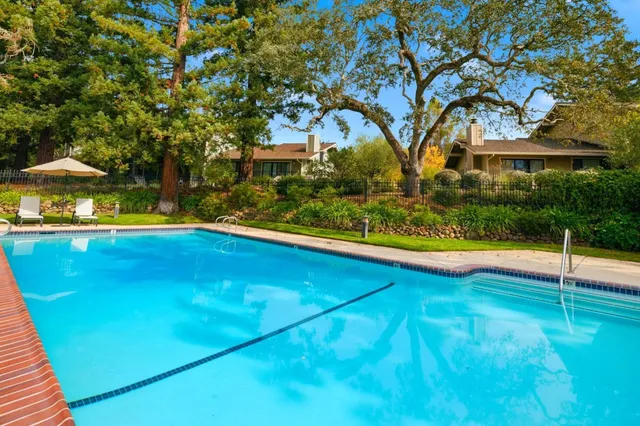 a view of swimming pool with lawn chairs and plants