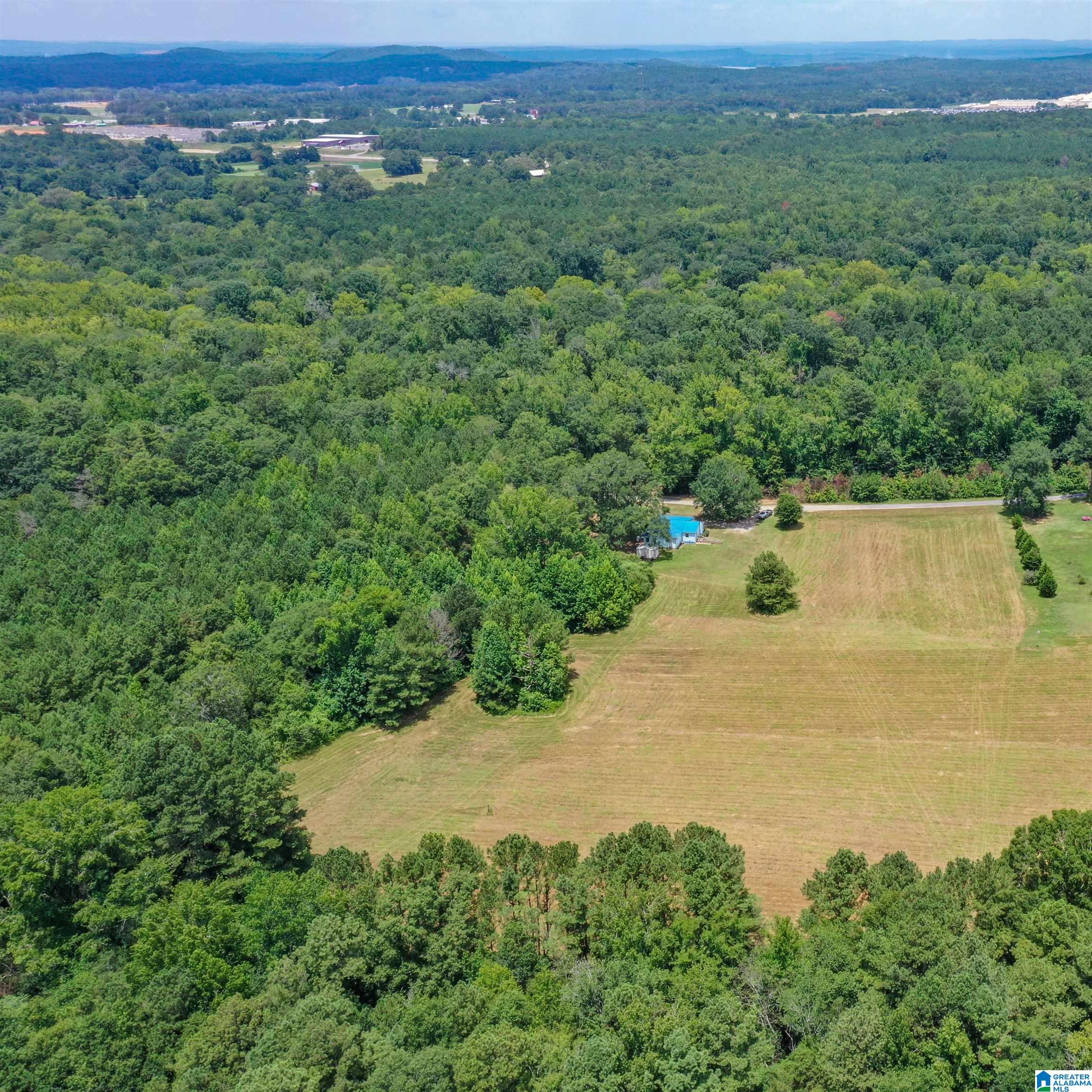 1675 Blue Eye Springs Road Lincoln, AL 35096 - Photo 55 of 60