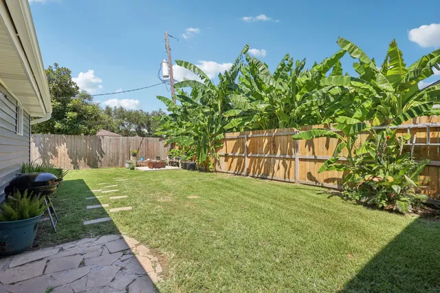 a view of a back yard