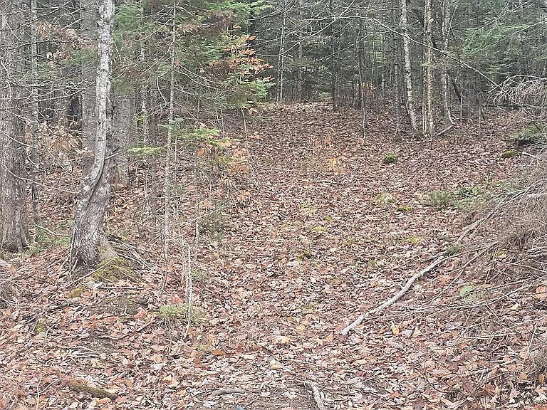 332 Crow Hill Road Parkman, ME 04443 - Photo 12 of 40 12