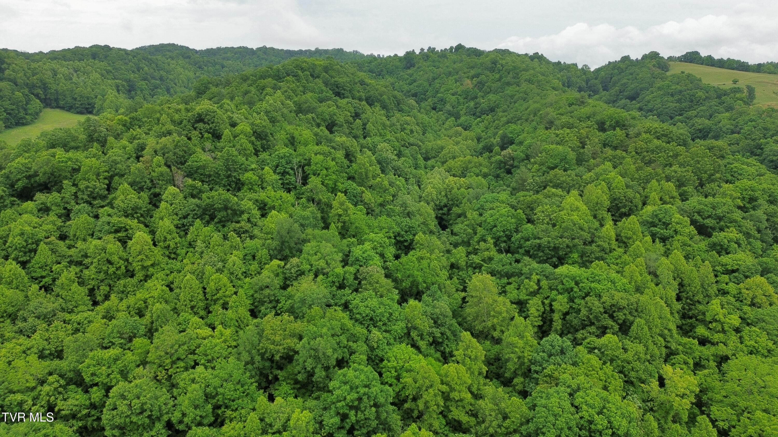 Tbd Boozy Creek Road Bristol, VA 24202 - Photo 4 of 33 dji_fly_20260319_215144_907_178039928115