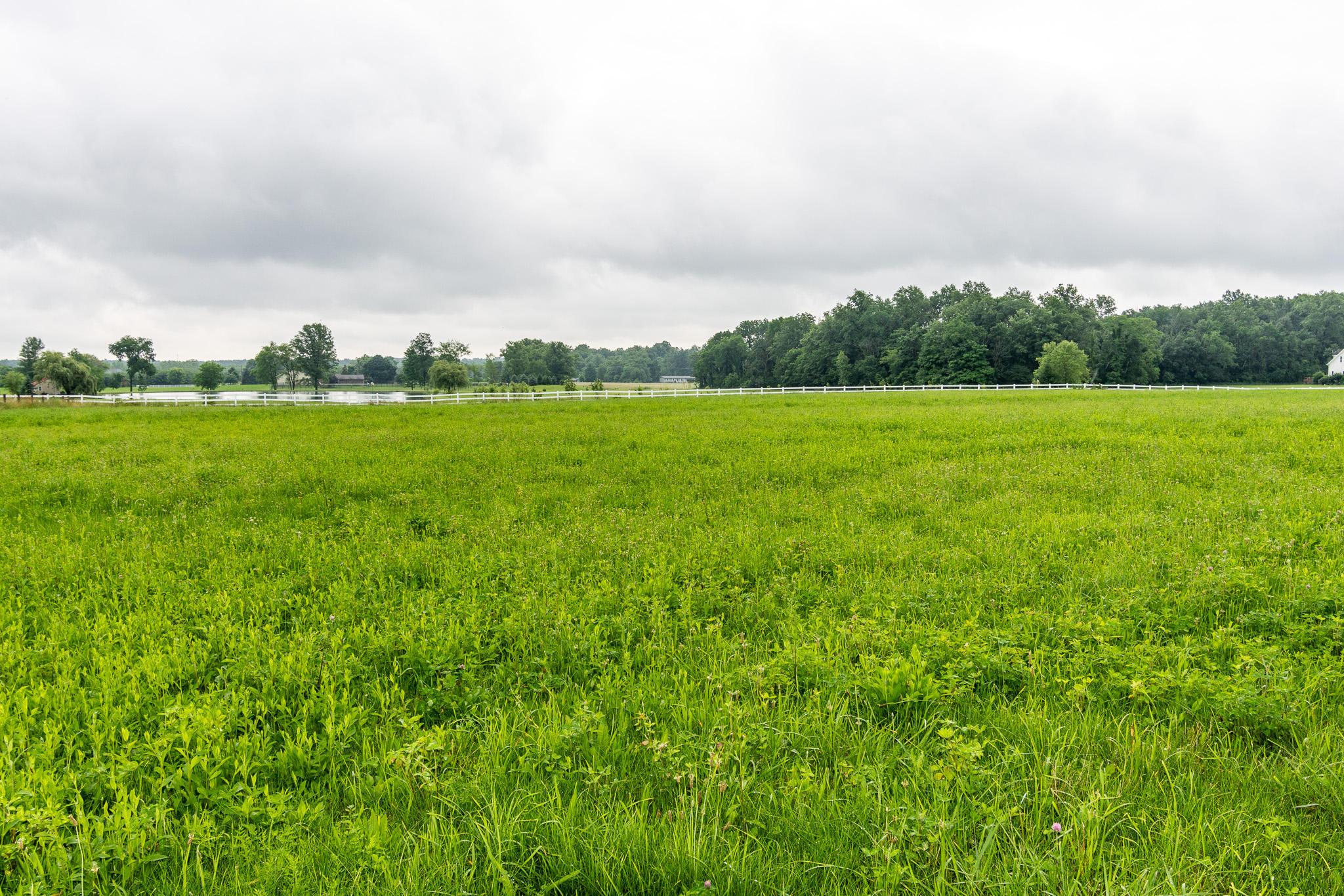 14831 Maple Ridge Road Milford Center, OH 43045 - Photo 11 of 38