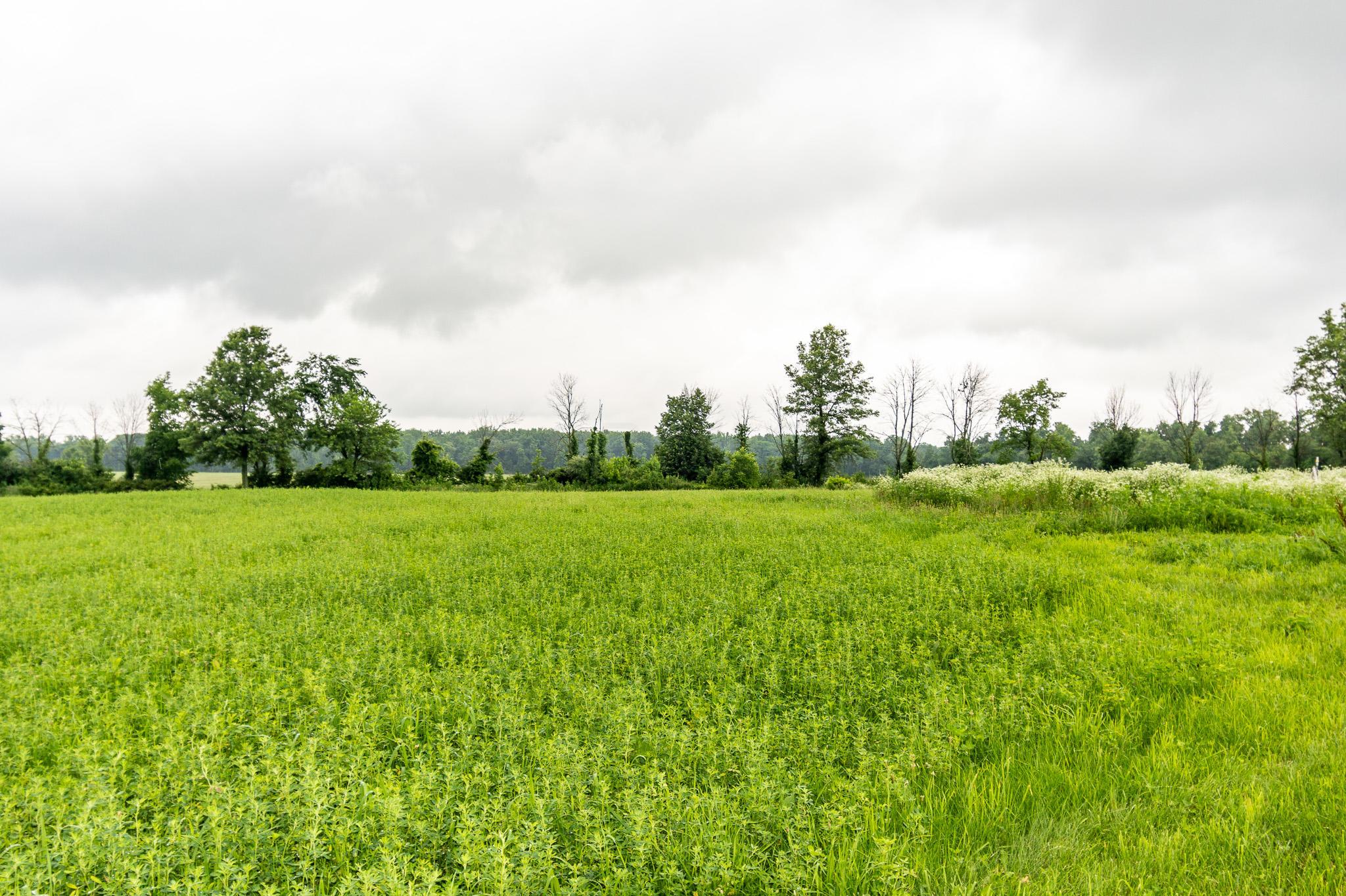 14831 Maple Ridge Road Milford Center, OH 43045 - Photo 14 of 38