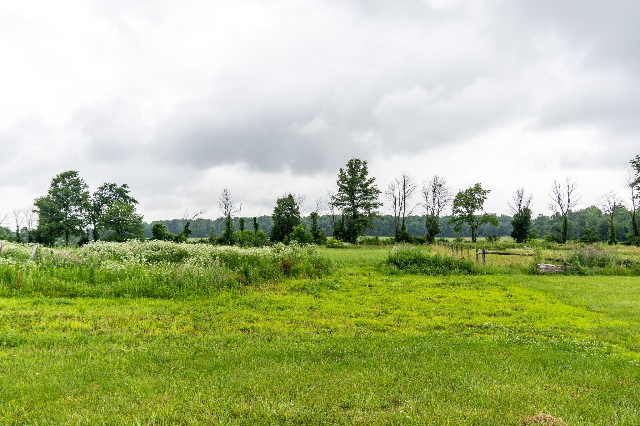 14831 Maple Ridge Road Milford Center, OH 43045 - Photo 18 of 38
