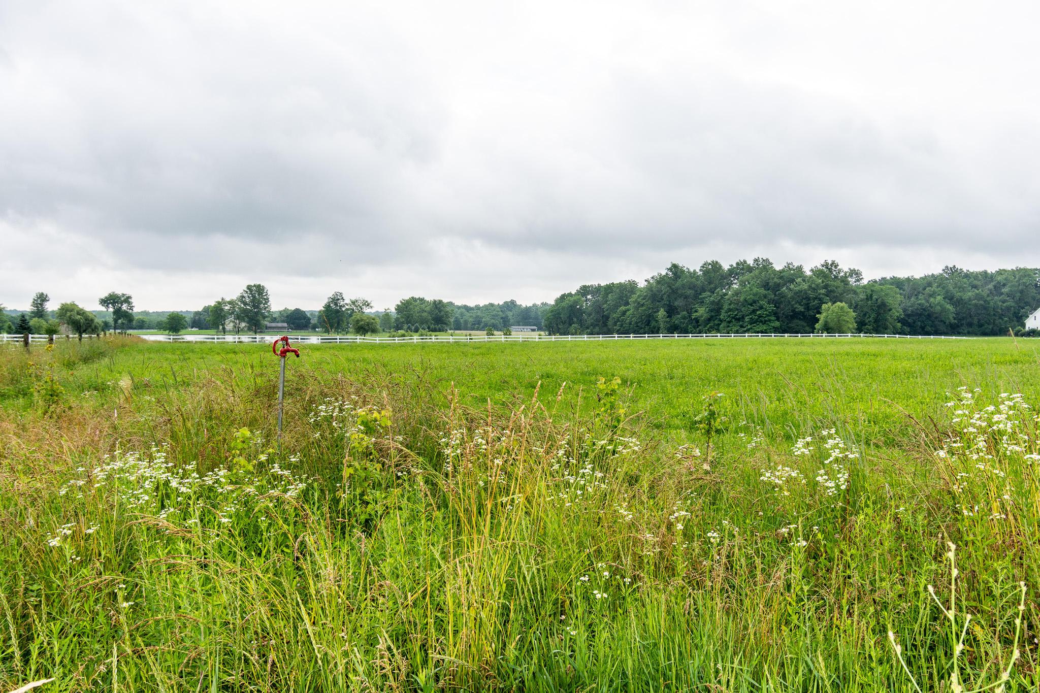 14831 Maple Ridge Road Milford Center, OH 43045 - Photo 9 of 38