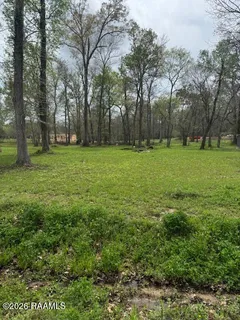 $29,000 | Tbd Longwood Drive, Opelousas, LA 70570