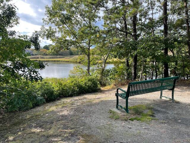 46 Sea Marsh Road Centerville, MA 02632 - Photo 67 of 69 a view of a bench in the garden near a lake
