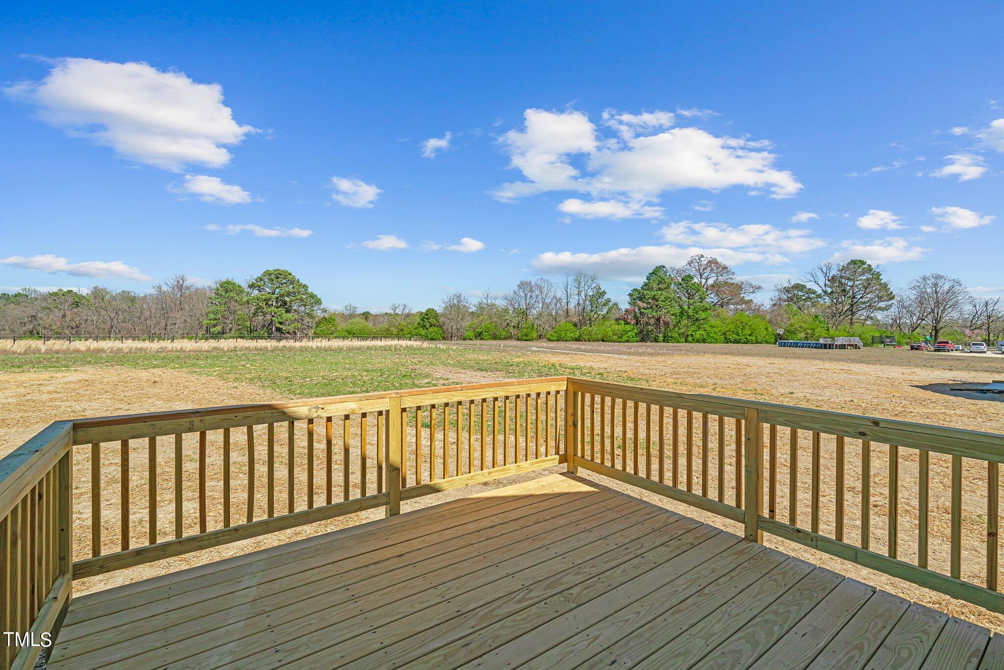 896 Spring Hill Church Road Lillington, NC 27546 - Photo 15 of 16 33-web-or-mls-DSC08281