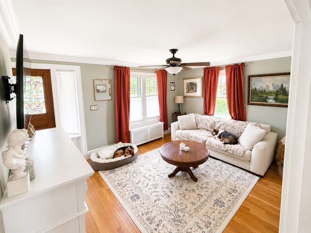 245 Plumtree Road Springfield, MA 01118 - Photo 6 of 18