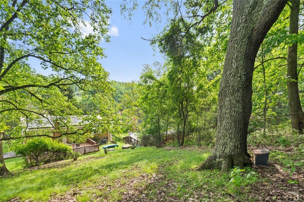100 Longvue Drive Pittsburgh, PA 15237 - Photo 25 of 25 a view of yard with green space