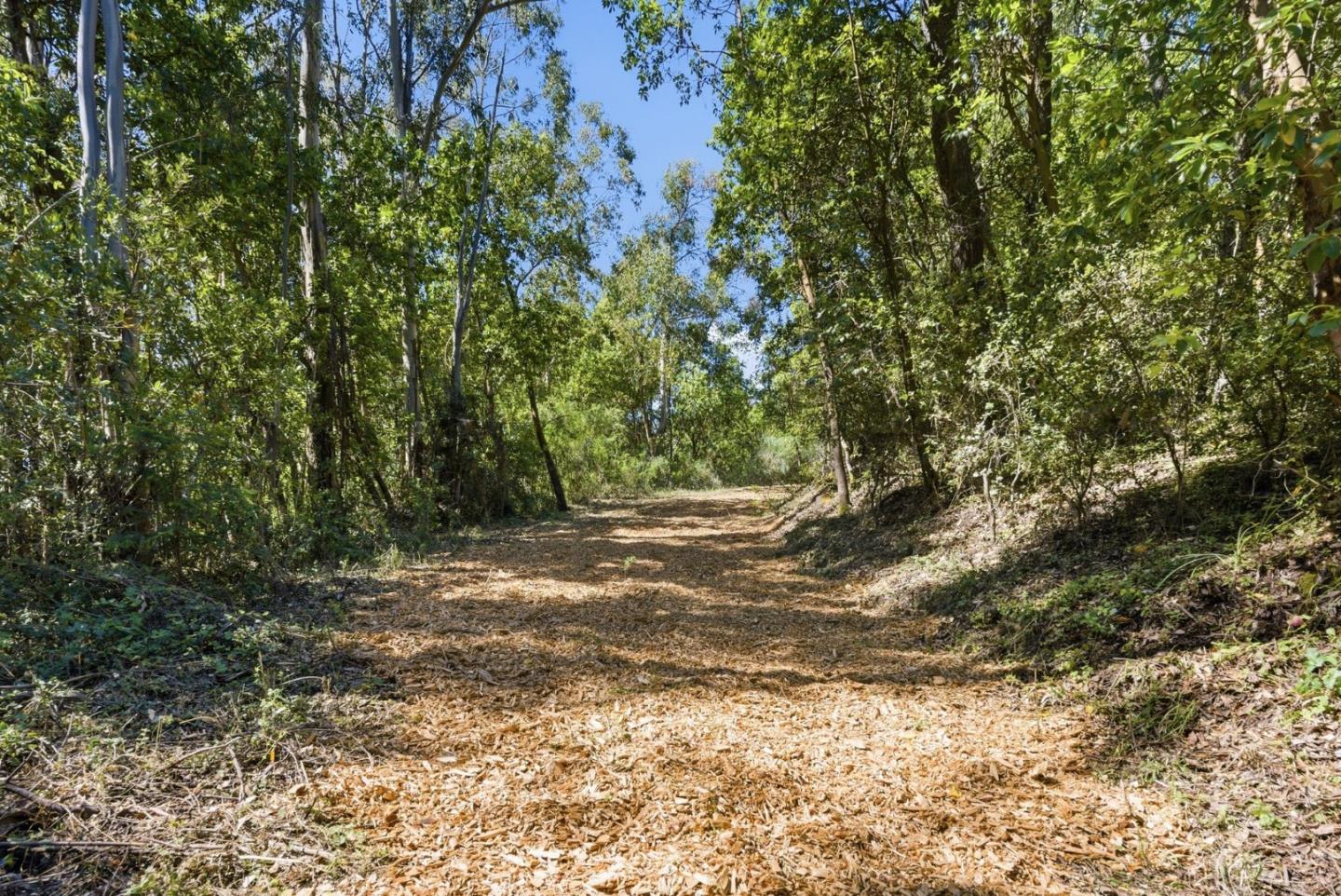 0 Page Mill Road Redwood City, CA 94062 - Photo 10 of 37