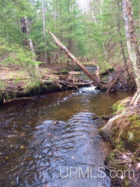 Tbd Carpenter Road Crystal Falls, MI 49920 - Photo 12 of 21
