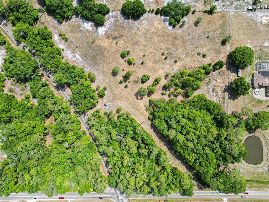 Coronet Road Mulberry, FL 33860 - Photo 11 of 17 a view of a garden with a plant