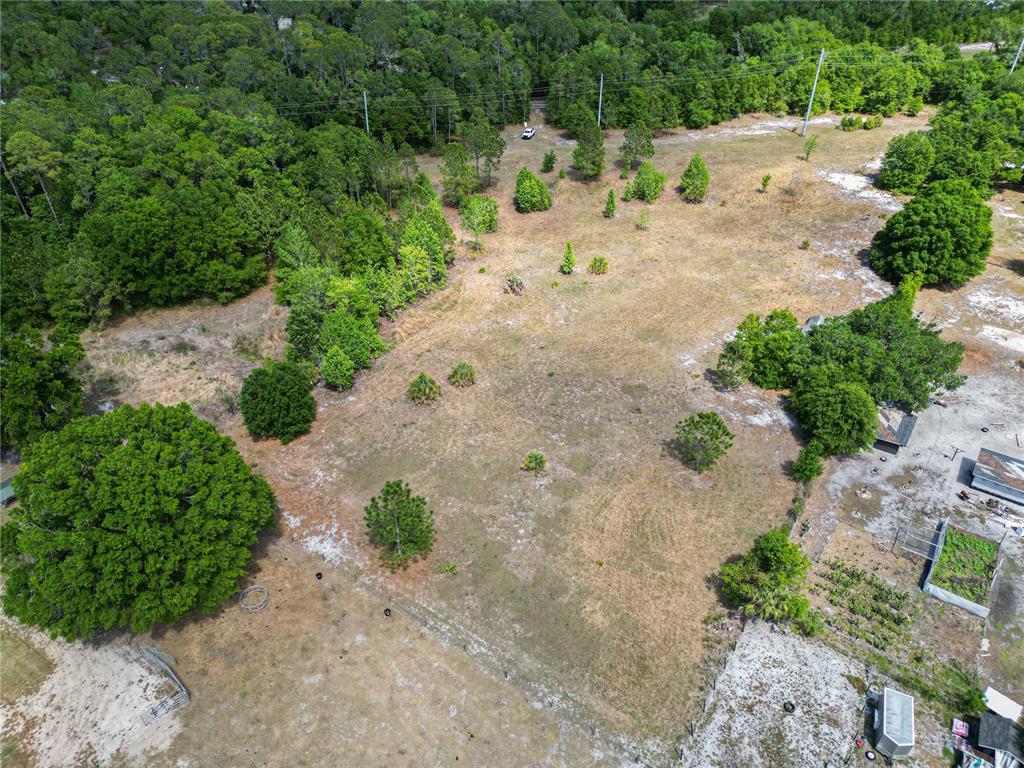 Coronet Road Mulberry, FL 33860 - Photo 12 of 17 a view of backyard with a table and chairs