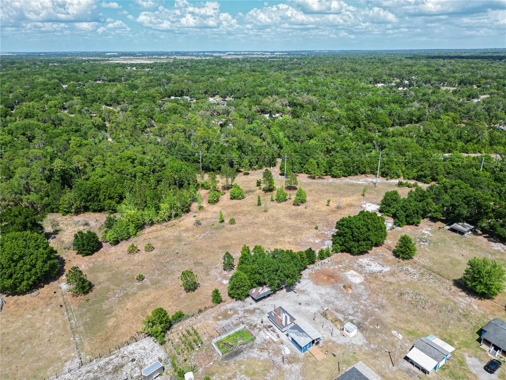 Coronet Road Mulberry, FL 33860 - Photo 15 of 17 a view of a garden with a pathway