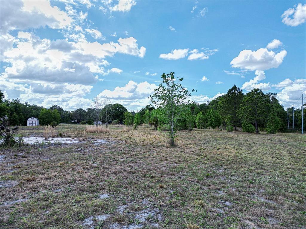 Coronet Road Mulberry, FL 33860 - Photo 5 of 17 a view of a yard