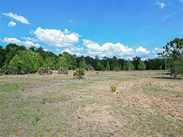 a view of an outdoor space and a yard