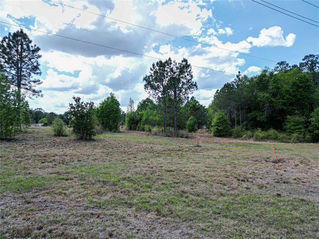 Coronet Road Mulberry, FL 33860 - Photo 7 of 17 a view of an outdoor space and a yard