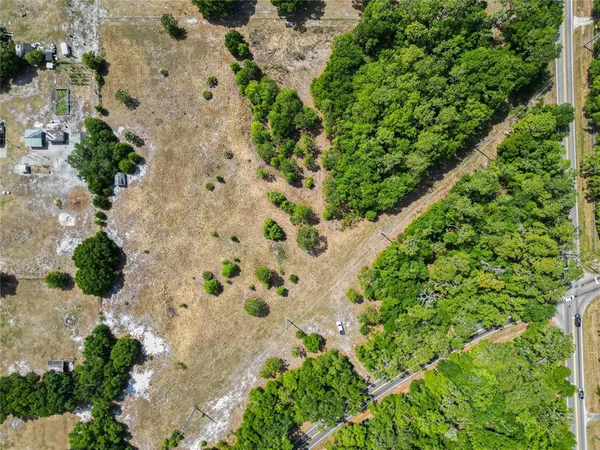 a view of a garden with a plant