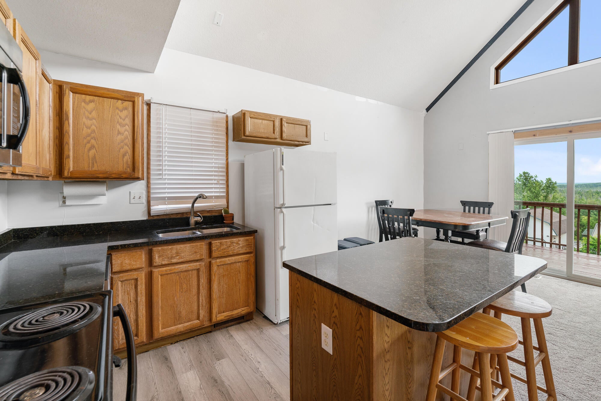 3360 Hill Vw Road Boyne Falls, MI 49713 - Photo 3 of 50 Gallery Image 3