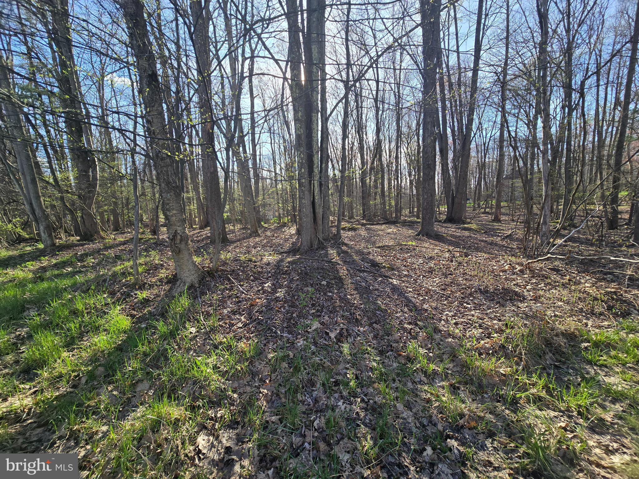 55 Smugglers Road Du Bois, PA 15801 - Photo 1 of 6 Gallery Image 1