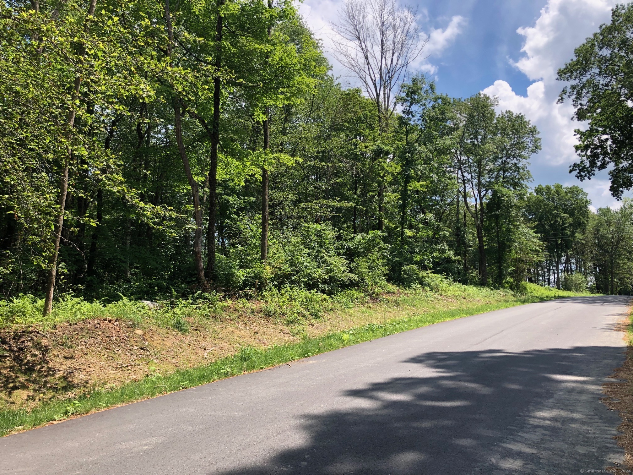 Town Hill Road Goshen, CT 06756 - Photo 1 of 1