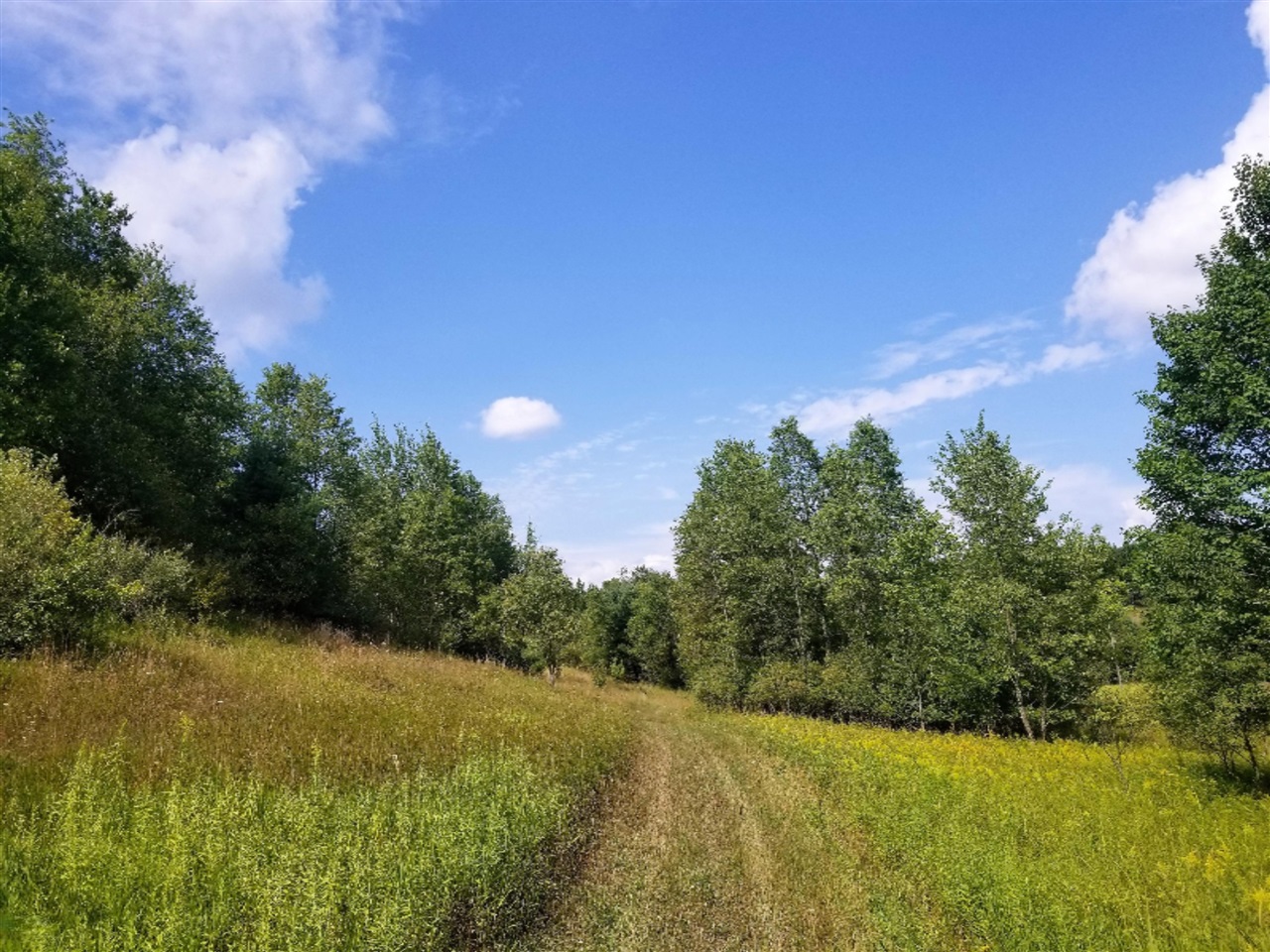 7932 South Saddler Road Chase, MI 49623 - Photo 51 of 57 Gallery Image 51