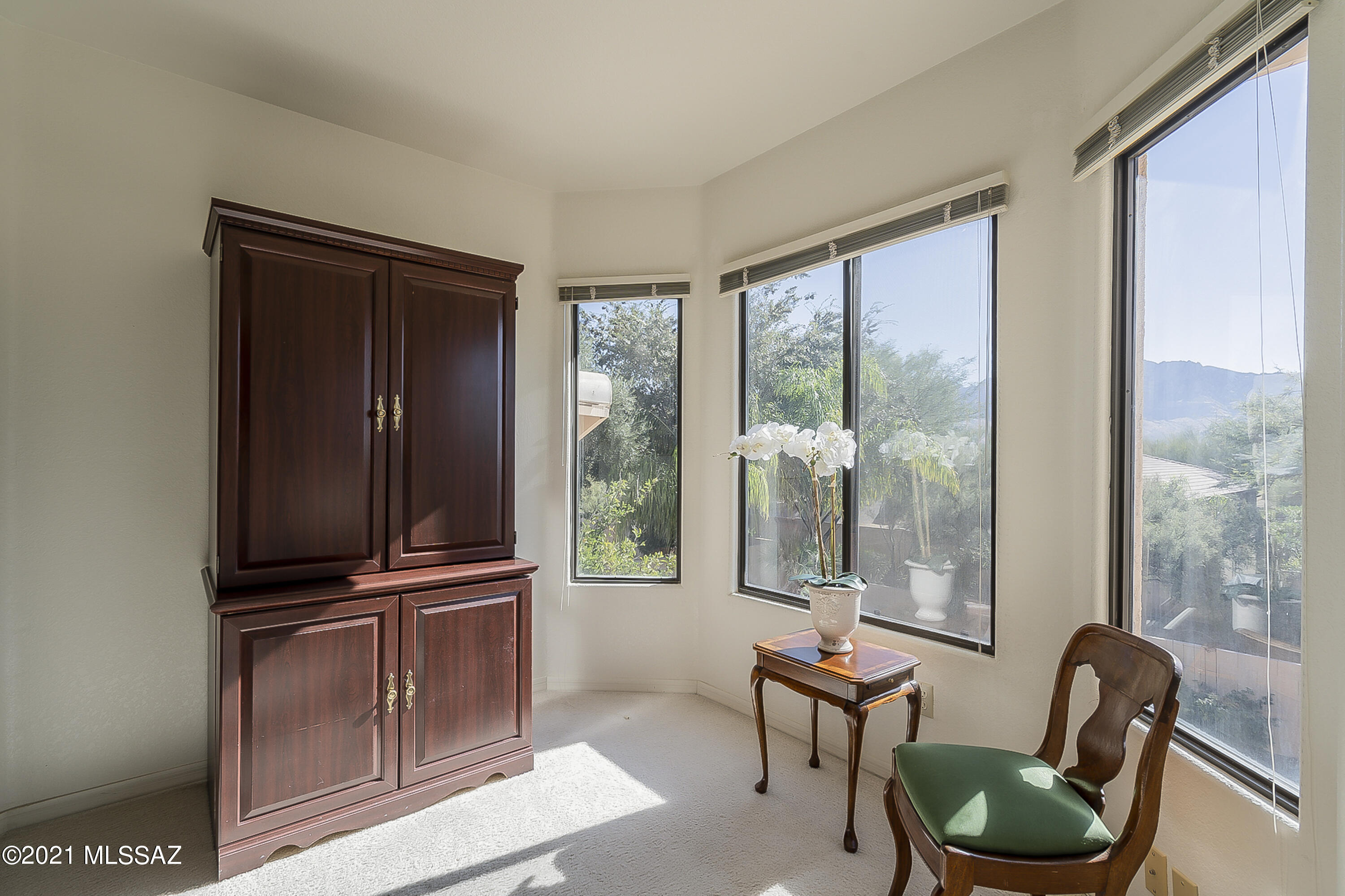 171 Blackstone Road Tucson, AZ 85755 - Photo 32 of 41