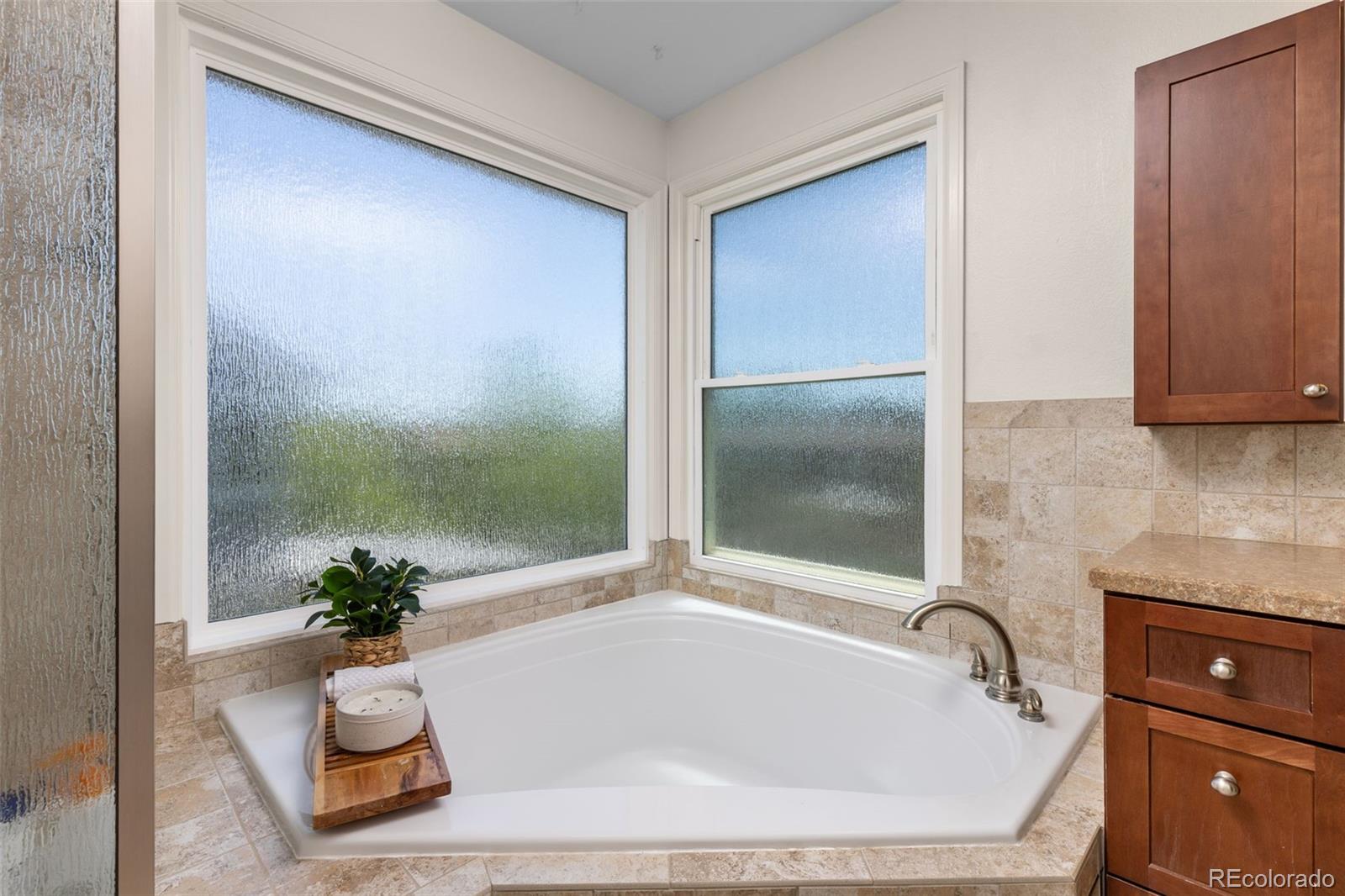 8756 Aberdeen Circle Highlands Ranch, CO 80130 - Photo 20 of 47