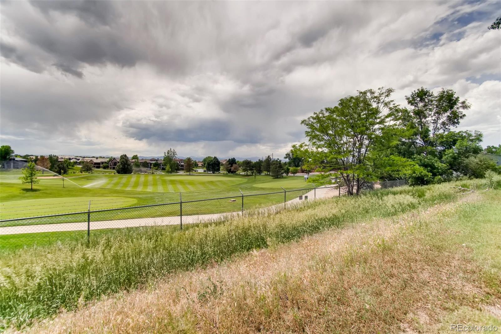 8756 Aberdeen Circle Highlands Ranch, CO 80130 - Photo 46 of 47