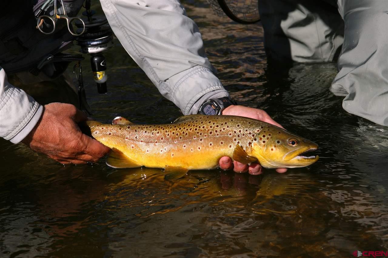 Lot 28 Wilder Mountain Road Almont, CO 81210 - Photo 4 of 7 a bathroom with a sink