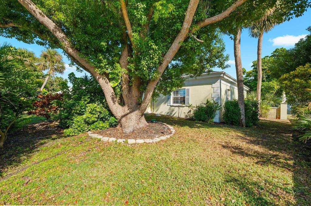 5 Barbados Road, Unit 31 Englewood, FL 34223 - Photo 29 of 40 a view of a yard with plants and a large tree