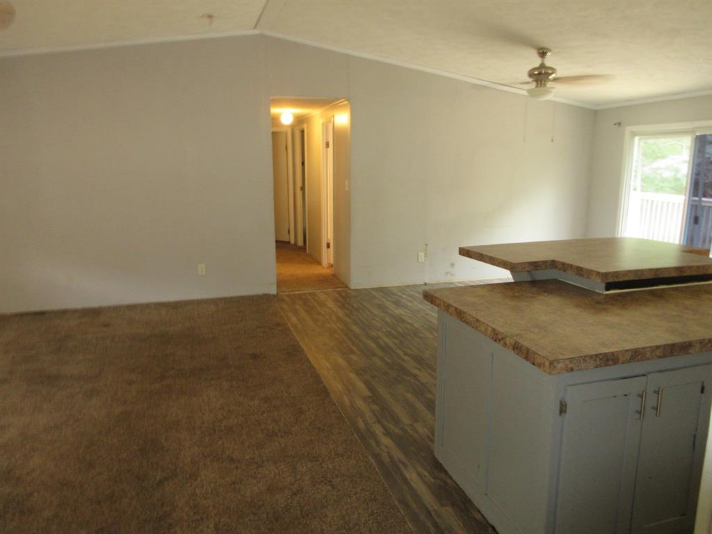 440 North Forrest Rd Plain Plain Dealing, LA 71064 - Photo 7 of 22