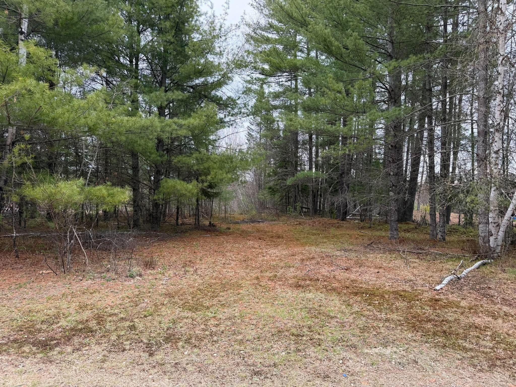 64 Coburn Road Carthage, ME 04224 - Photo 36 of 44