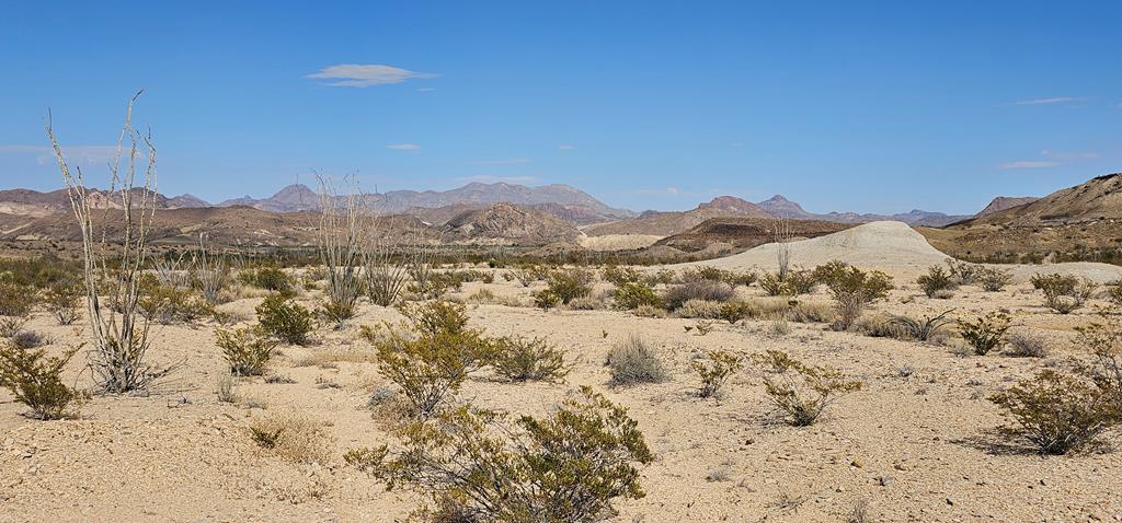 399 Grass Draw Road Terlingua, TX 79852 - Photo 16 of 18 Gallery Image 16