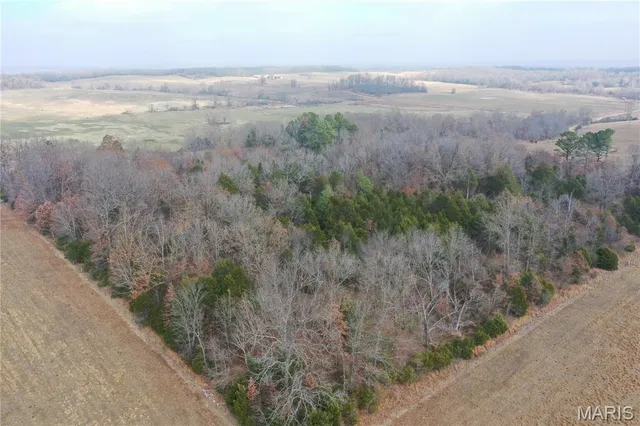 $44,900 | Tbd Minorca Road, Datto, AR 72444