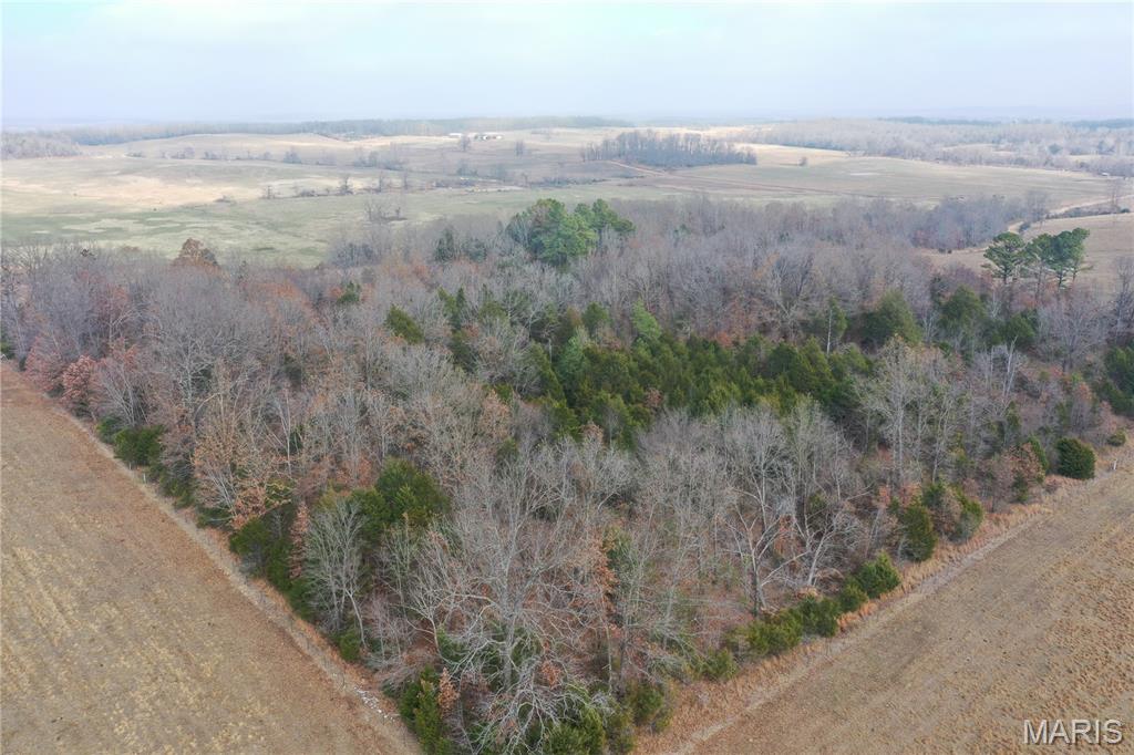 Tbd Minorca Road Datto, AR 72444 - Photo 13 of 37