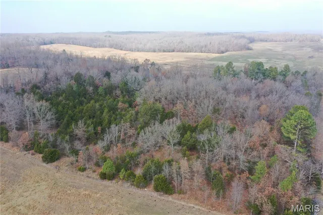 $44,900 | Tbd Minorca Road, Datto, AR 72444
