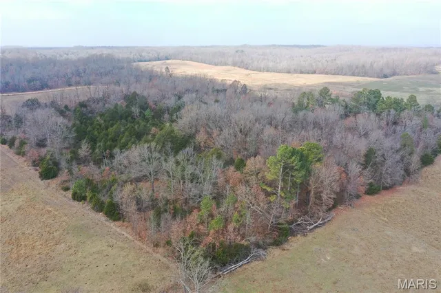 $44,900 | Tbd Minorca Road, Datto, AR 72444