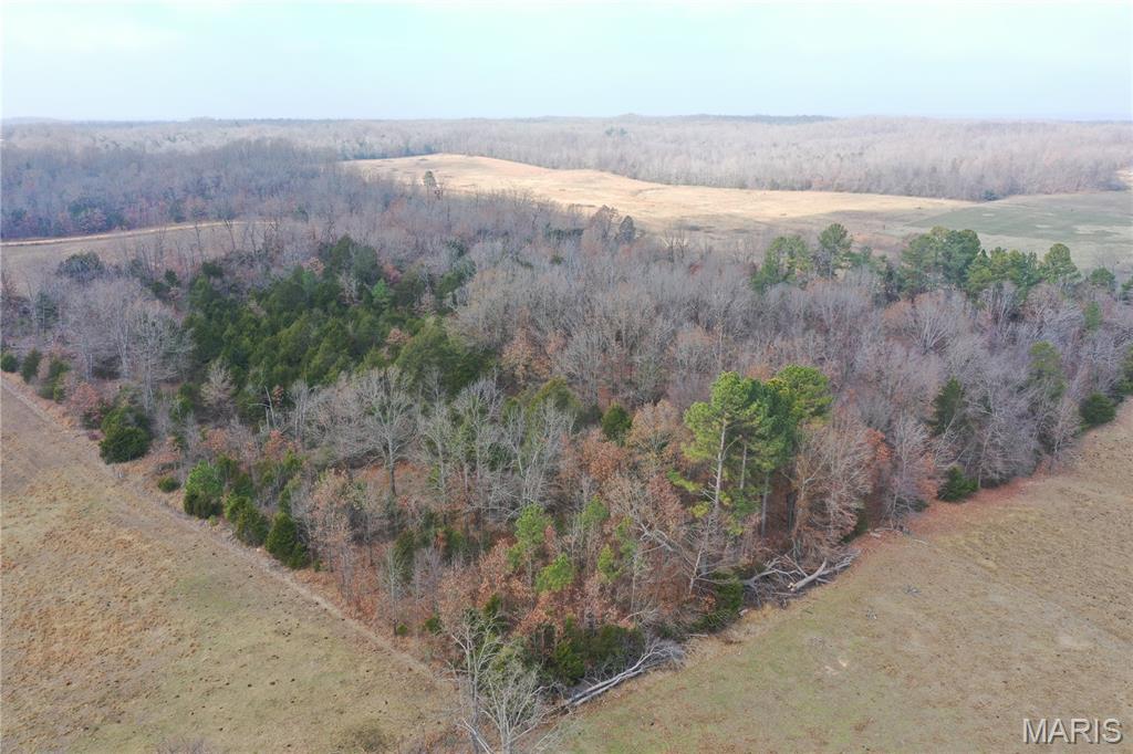 Tbd Minorca Road Datto, AR 72444 - Photo 16 of 37