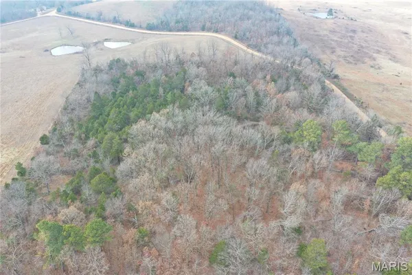 $44,900 | Tbd Minorca Road, Datto, AR 72444