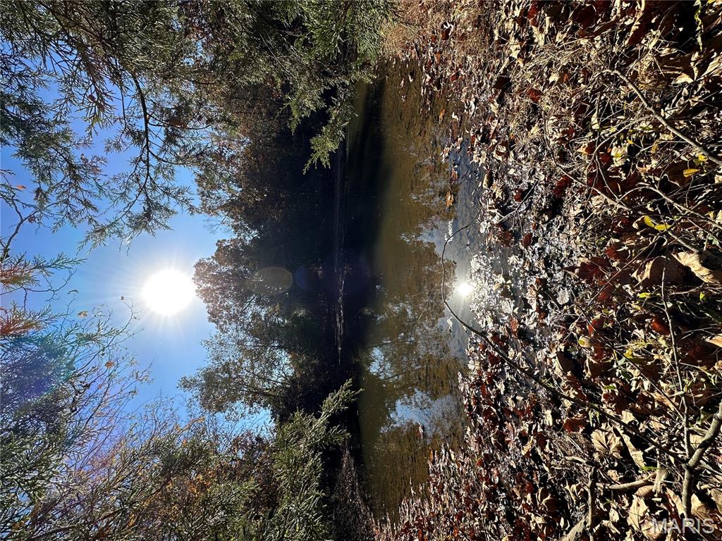 Tbd Minorca Road Datto, AR 72444 - Photo 2 of 37