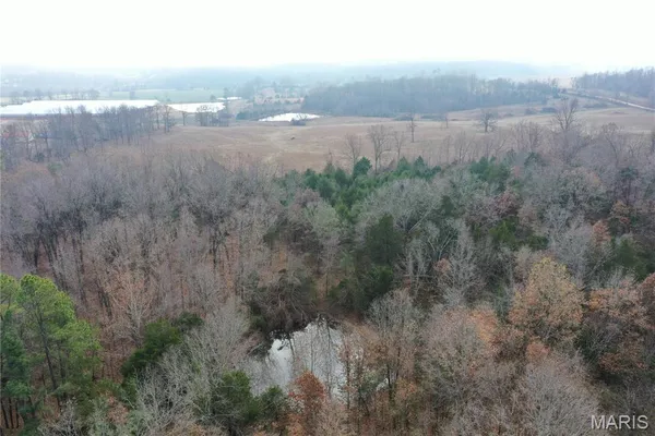 $44,900 | Tbd Minorca Road, Datto, AR 72444