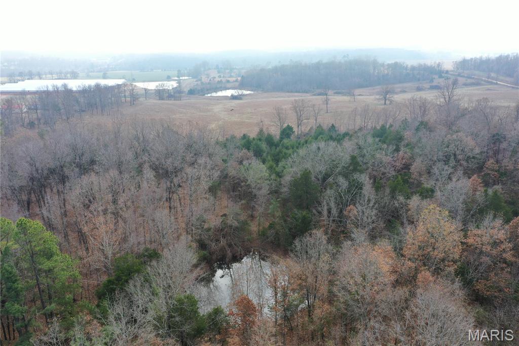 Tbd Minorca Road Datto, AR 72444 - Photo 21 of 37