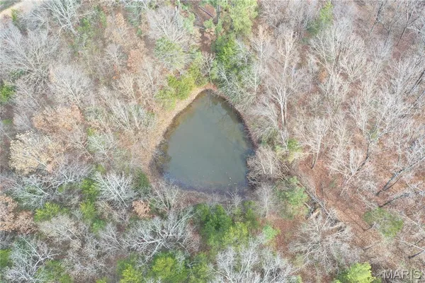 $44,900 | Tbd Minorca Road, Datto, AR 72444