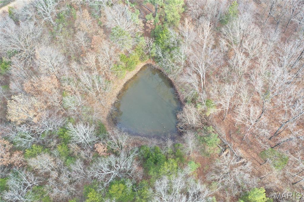 Tbd Minorca Road Datto, AR 72444 - Photo 23 of 37