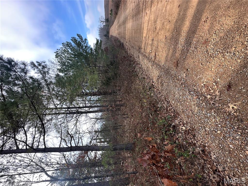 Tbd Minorca Road Datto, AR 72444 - Photo 24 of 37