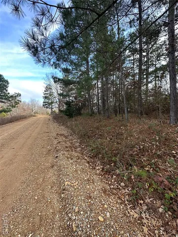 $44,900 | Tbd Minorca Road, Datto, AR 72444